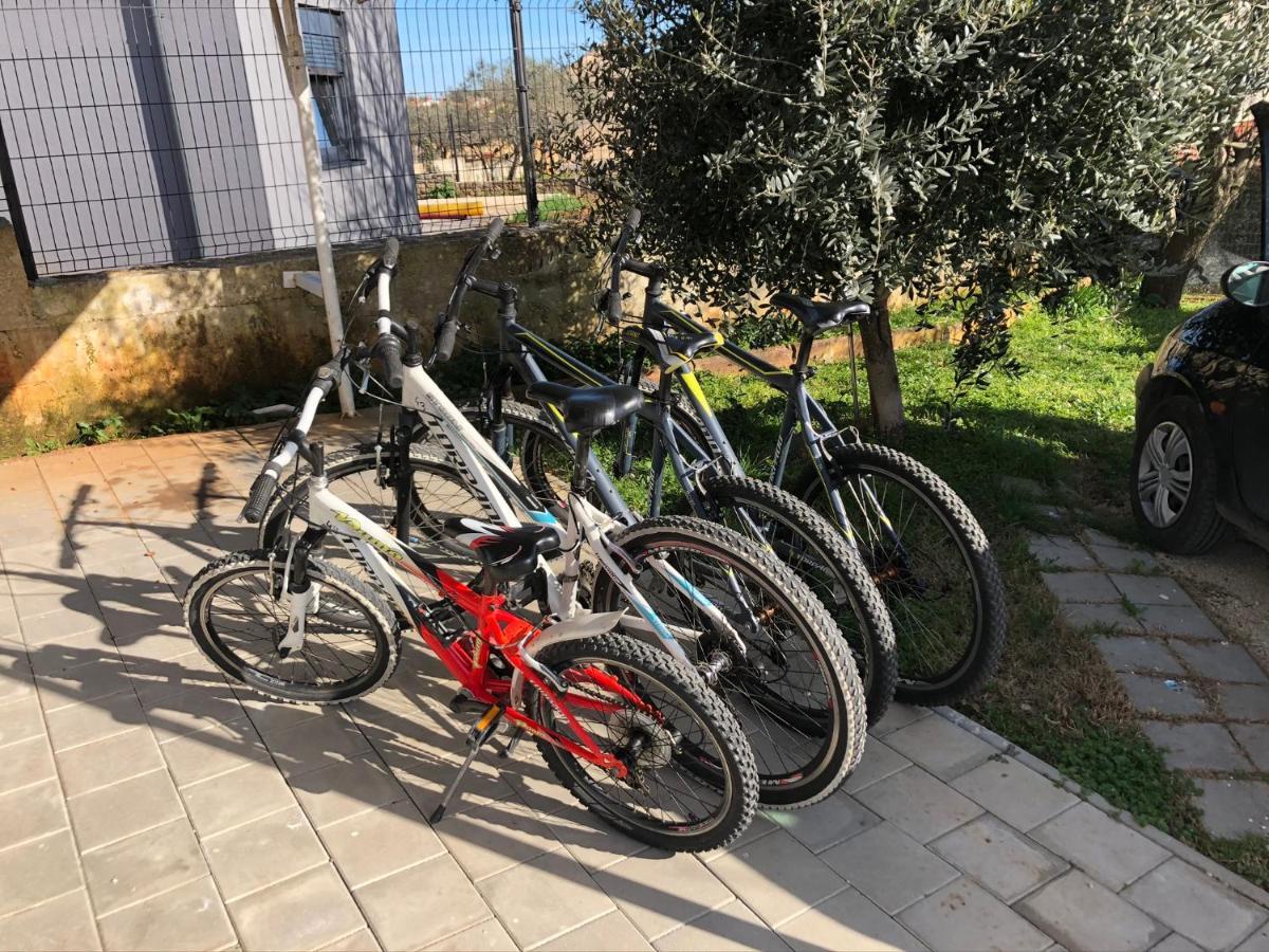 Apartment Madis & Free Bikes Pula Eksteriør bilde